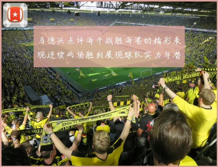 马德兴点评海牛战胜海港的精彩表现连续两场胜利展现球队实力与潜力