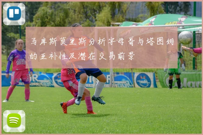 马库斯莫里斯分析字母哥与塔图姆的互补性及潜在交易前景